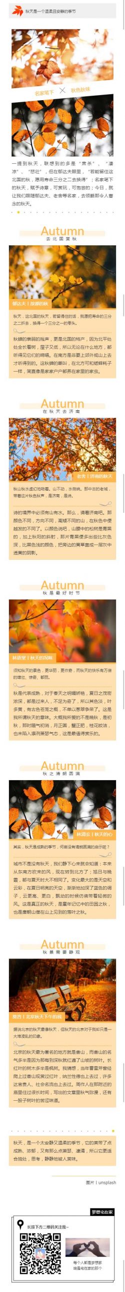 秋天是一个温柔且安静的季节金黄色落叶风格模板
