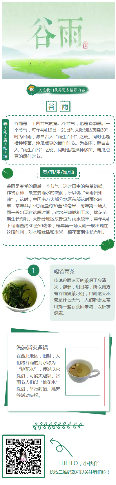 谷雨二十四节气中国风传统文化绿色风格模板