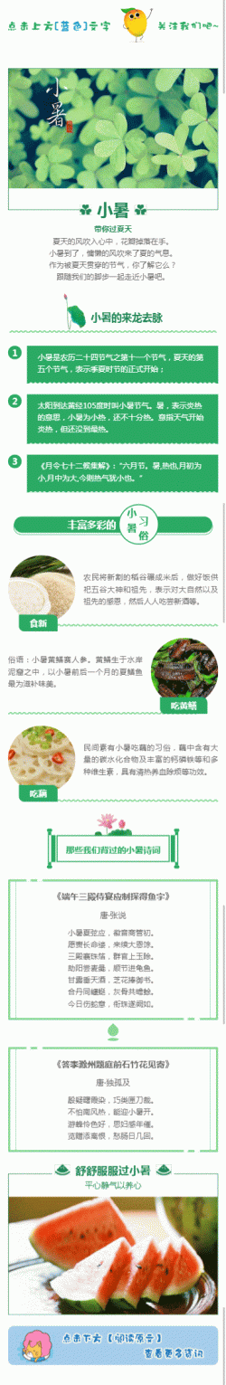 小暑农历二十四节气中国传统节日绿色文章模板