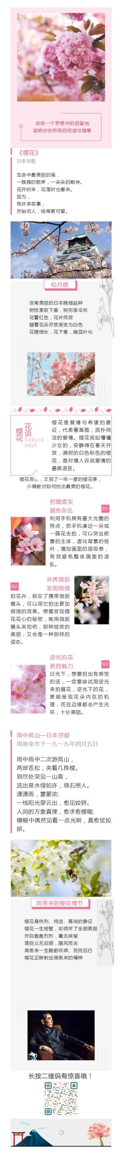 樱花日本民歌植物介绍百科 《樱花》