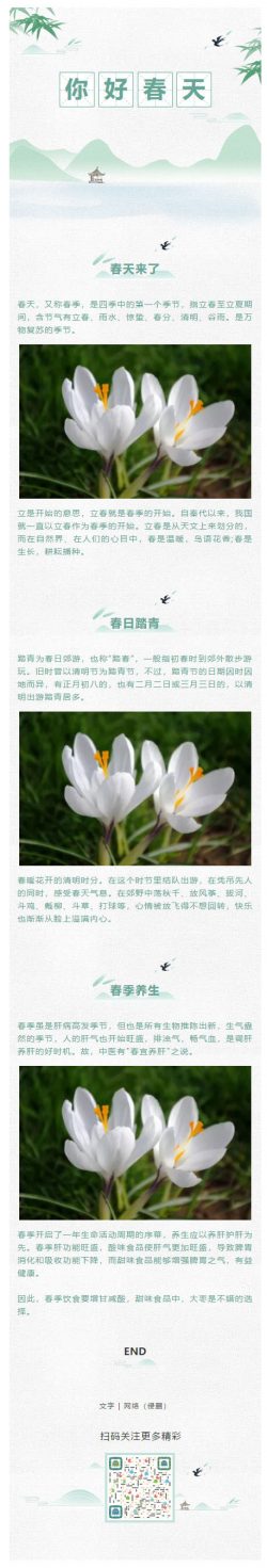 春天来了绿色清新风格微信公众号推送图文素材背景图片水墨风格中国风