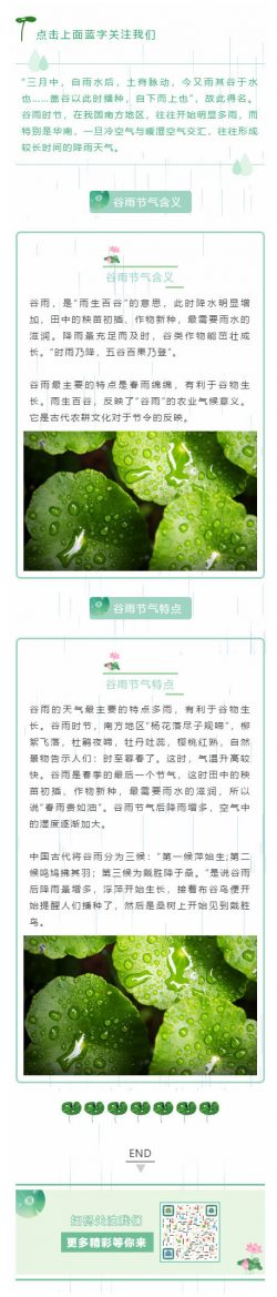 谷雨节二十四节气绿色动态背景水滴微信模板公众号推送文章模板