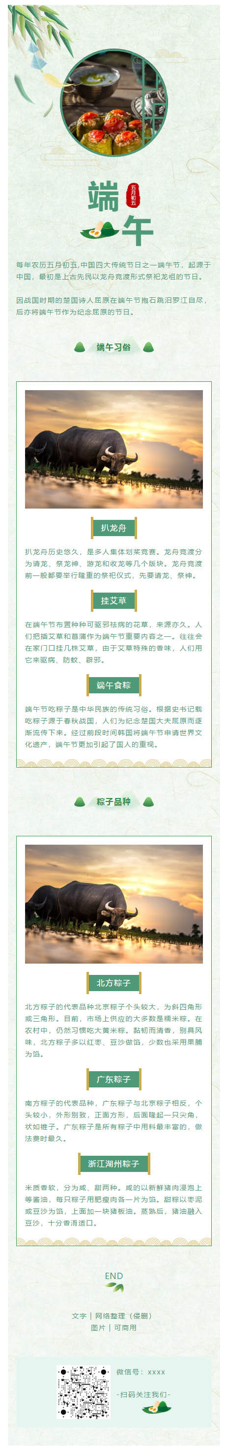 端午节绿色风格传统节日粽子微信公众号推送图文模板推文素材