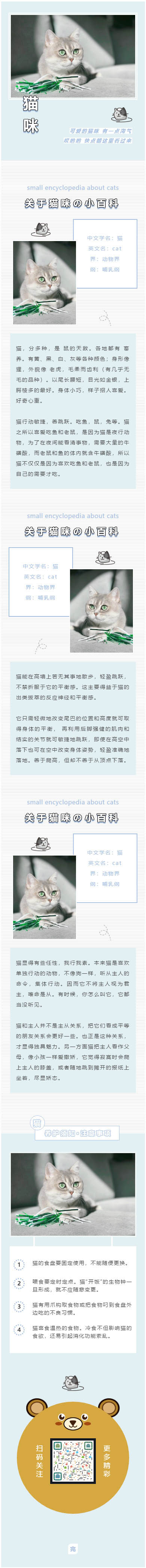 宠物模板微信公众号模板灰色条纹背景图猫咪素材